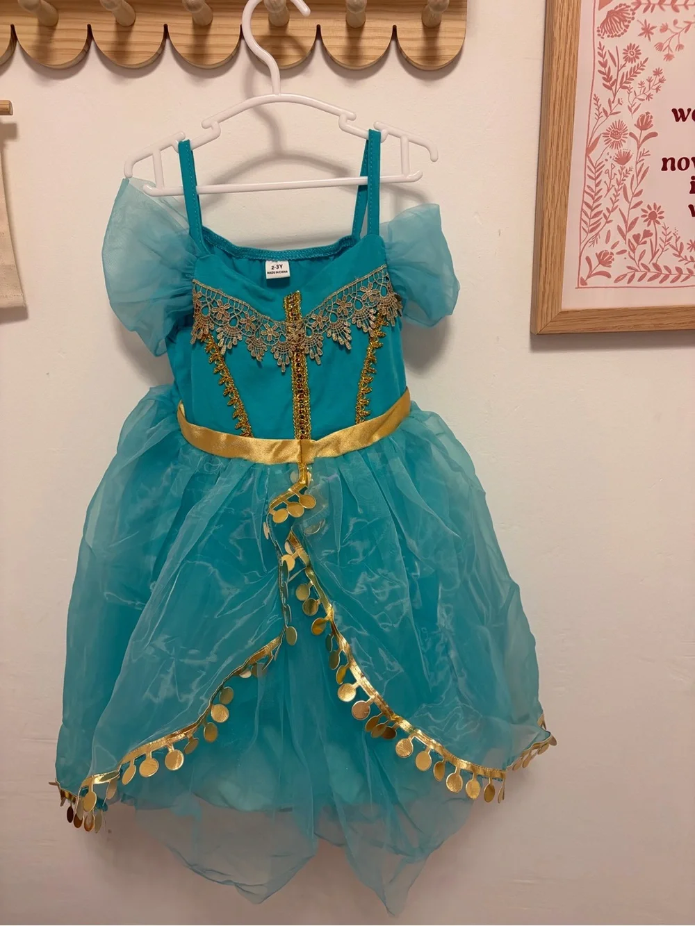 Girls' Teal Princess Costume Dress with Gold Accents